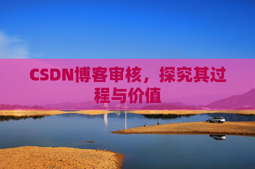 CSDN博客审核，探究其过程与价值
